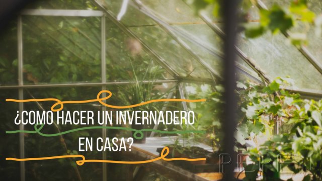 ¿Como hacer un invernadero en casa? Greenbox Paisajismo y Riegos