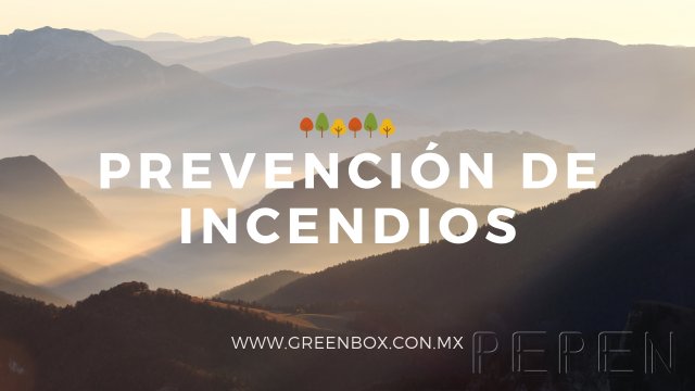 Prevención de Incendios Forestales Greenbox Paisajismo y Riegos