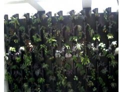 Jardín Vertical con Riego Automático modelo Tubular Greenbox Paisajismo y Riegos