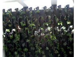 Jardín Vertical con Riego Automático modelo Tubular