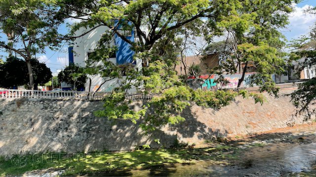 Greenbox Paisajismo y Riegos Caso: Proyecto de paisajismo Rivera Río Sabinal Chiapas 2022