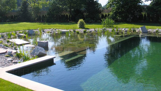 Una piscina ecológica puede ser un proyecto muy contemporáneo, con gran fuerza arquitectónica y paisajística.