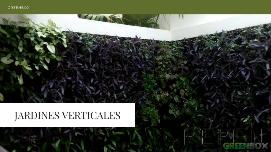 Jardines Verticales Greenbox Paisajismo y Riegos