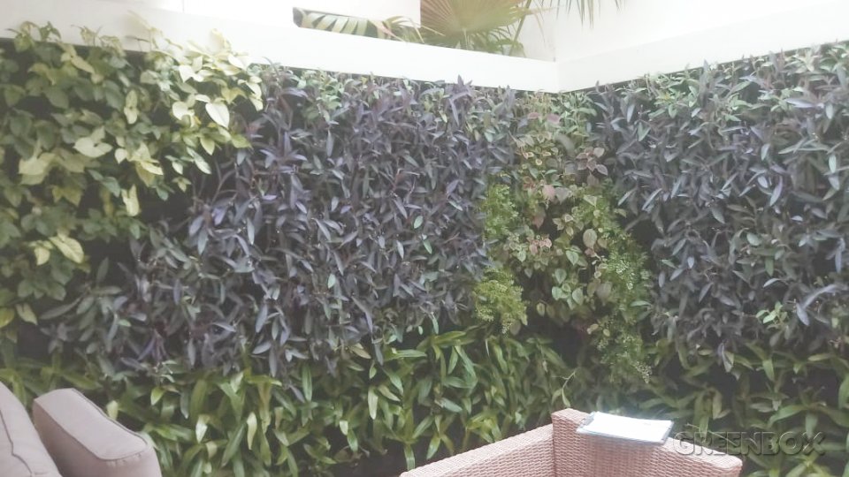 Jardín Vertical V San Cristóbal proyecto realizado por Greenbox