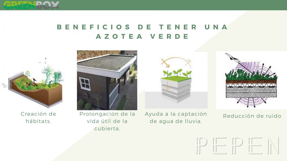 7 Greenbox Paisajismo y Riegos