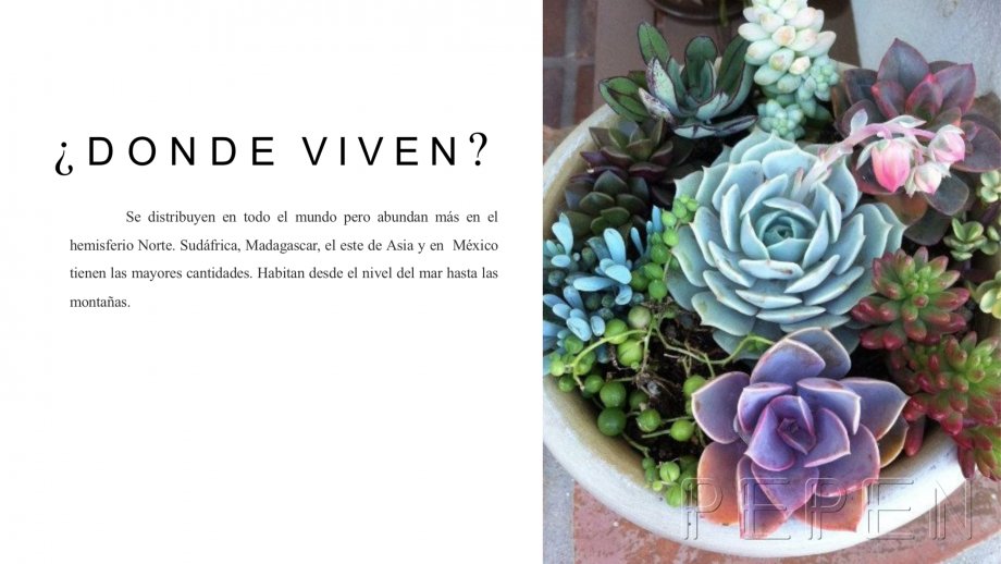 ¿Dónde viven? Greenbox Paisajismo y Riegos