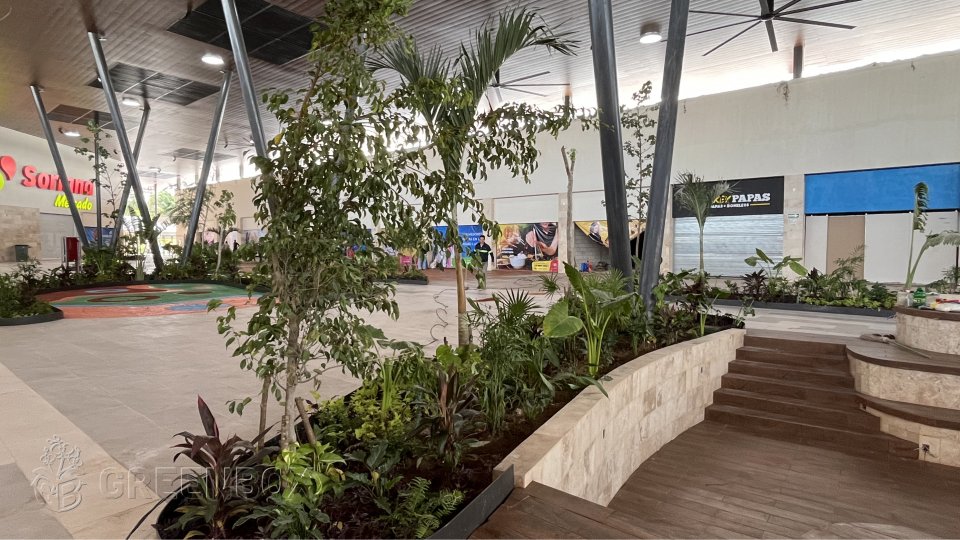 Caso: Paisajismo Plaza Las Flores- Palenque, Chiapas - Greenbox Paisajismo y Riegos