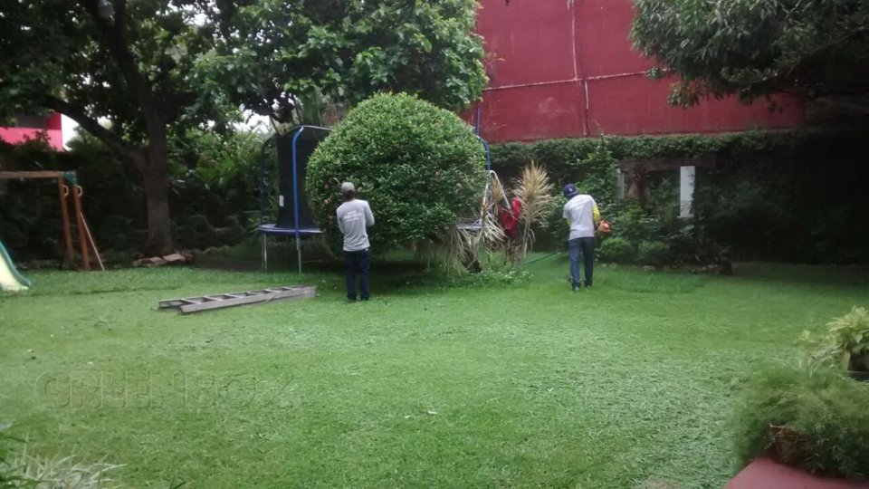 Mantenimiento de áreas verdes Greenbox Paisajismo y Riegos
