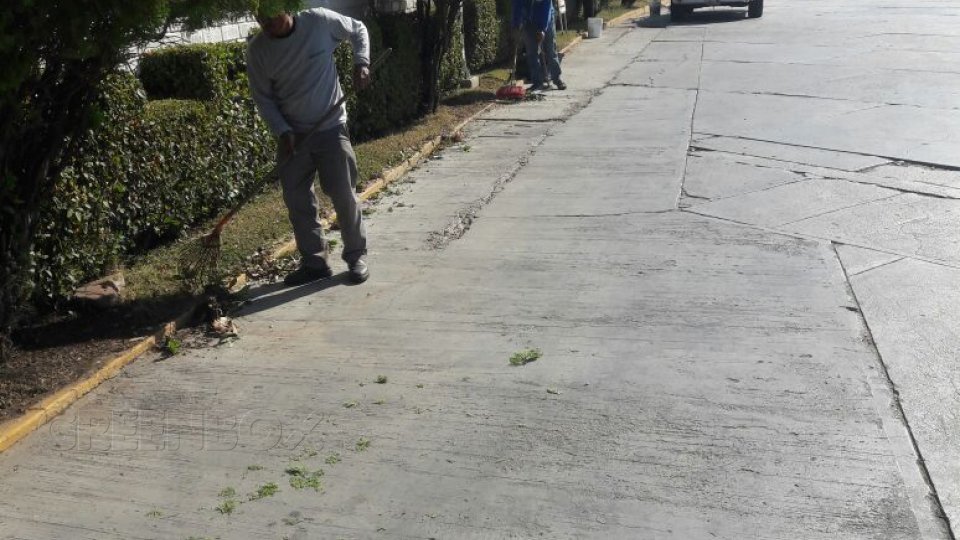 Mantenimiento de áreas verdes Greenbox Paisajismo y Riegos