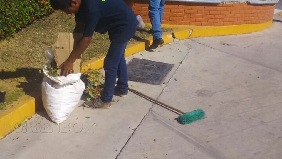 Mantenimiento de áreas verdes Greenbox Paisajismo y Riegos