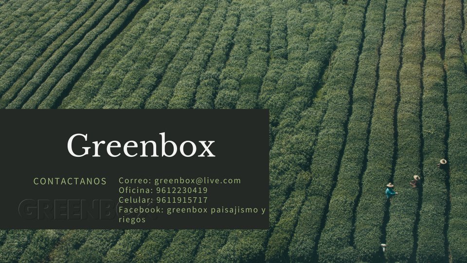 Contacto Greenbox Paisajismo y Riegos