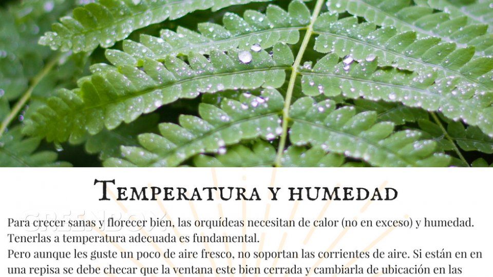 Temperatura y humedad. Greenbox Paisajismo y Riegos