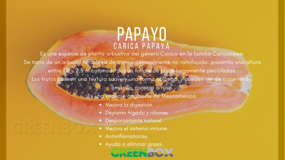 Papayo Greenbox Paisajismo y Riegos
