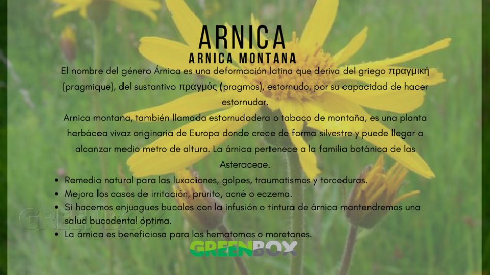 Arnica Greenbox Paisajismo y Riegos