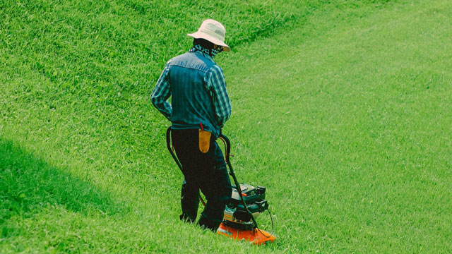 Greenbox Paisajismo y Riegos Limpieza de Áreas
