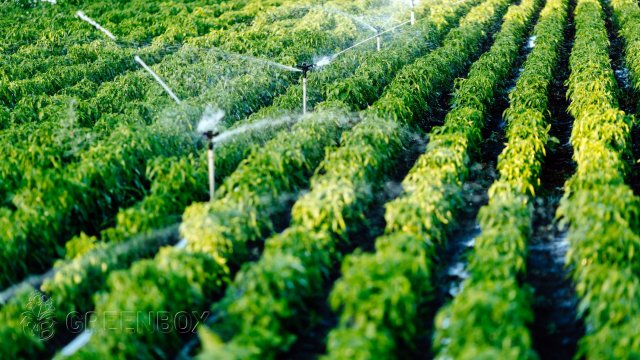 Greenbox Paisajismo y Riegos Asesoría Técnica: Sistemas de Riego