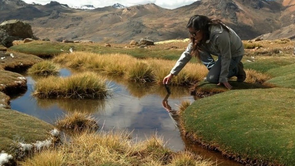 Asesoría Técnica: Medio ambiente - Greenbox Paisajismo y Riegos